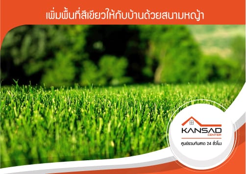เพิ่มพื้นที่สีเขียวให้บ้านด้วยสนามหญ้า | ชนิดหญ้า และการนำไปใช้งาน